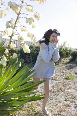 韩语日语电影在线